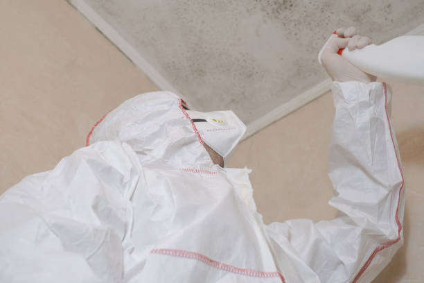 Best Professional Mold Removal  in Windsor, MO
